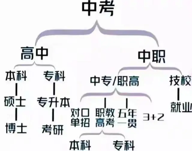 图片上传成功