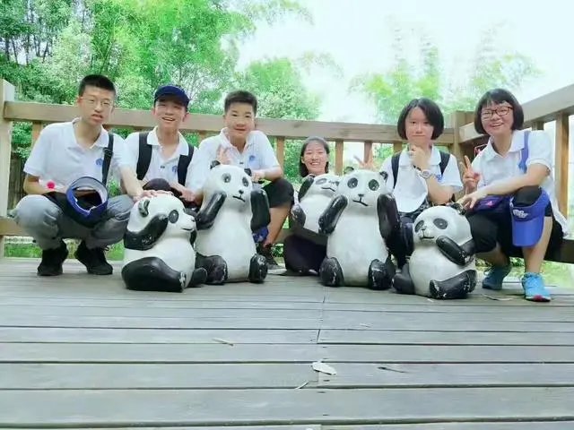 图片上传成功