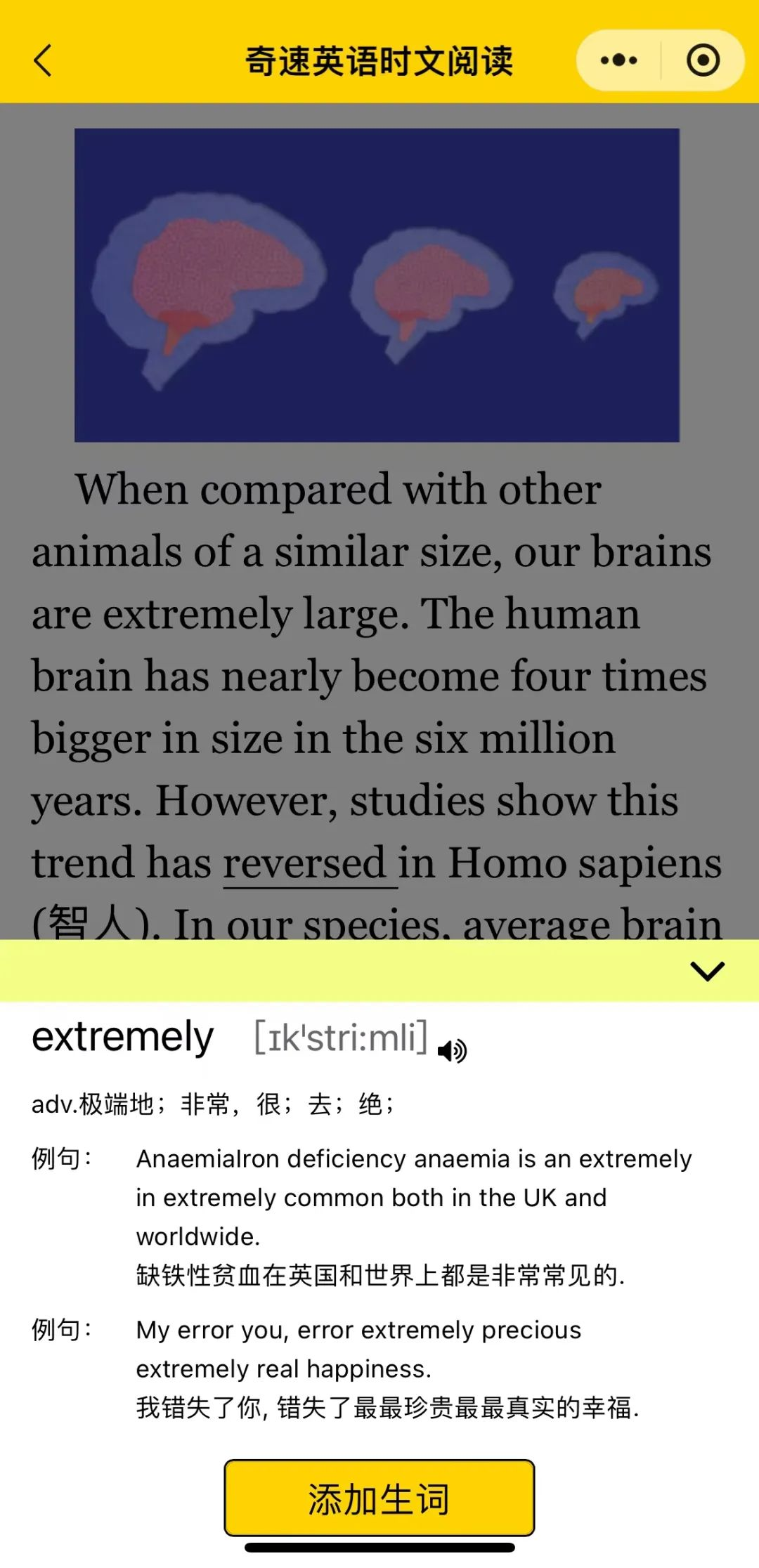 图片上传成功
