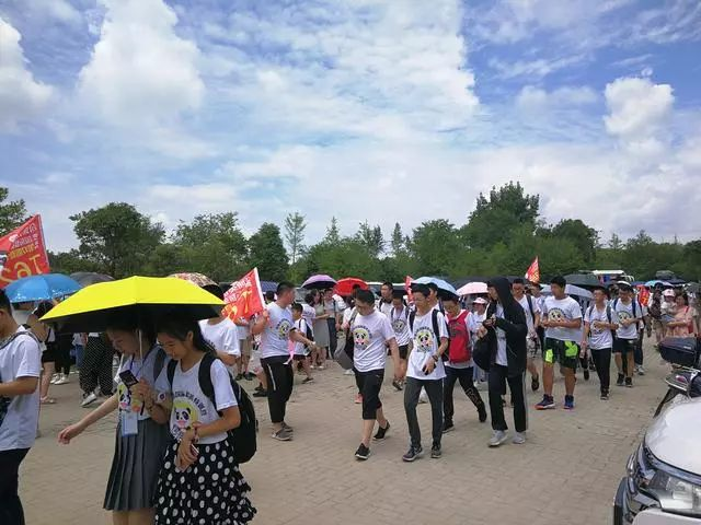 图片上传成功
