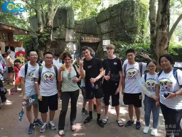 图片上传成功