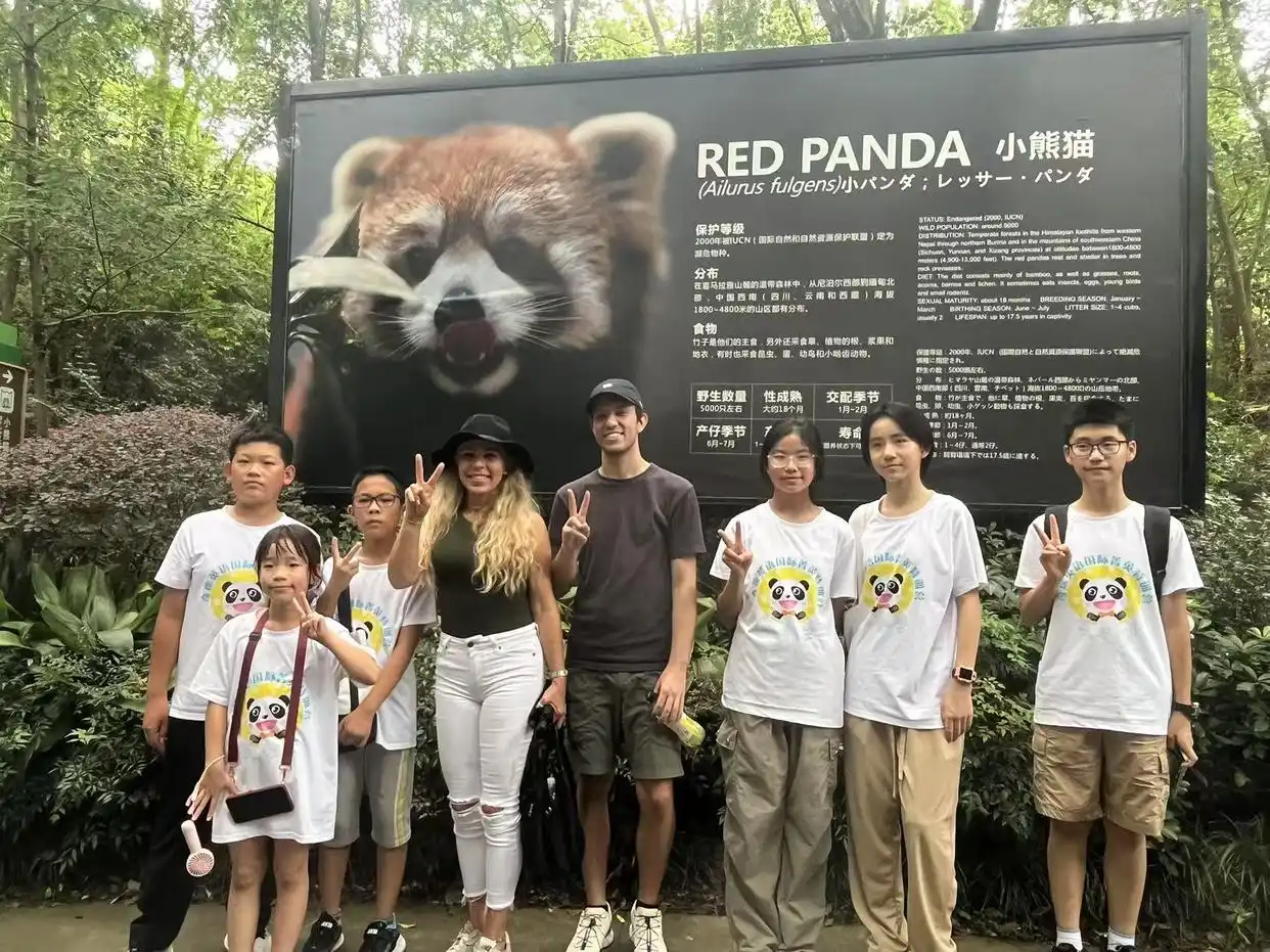 图片上传成功