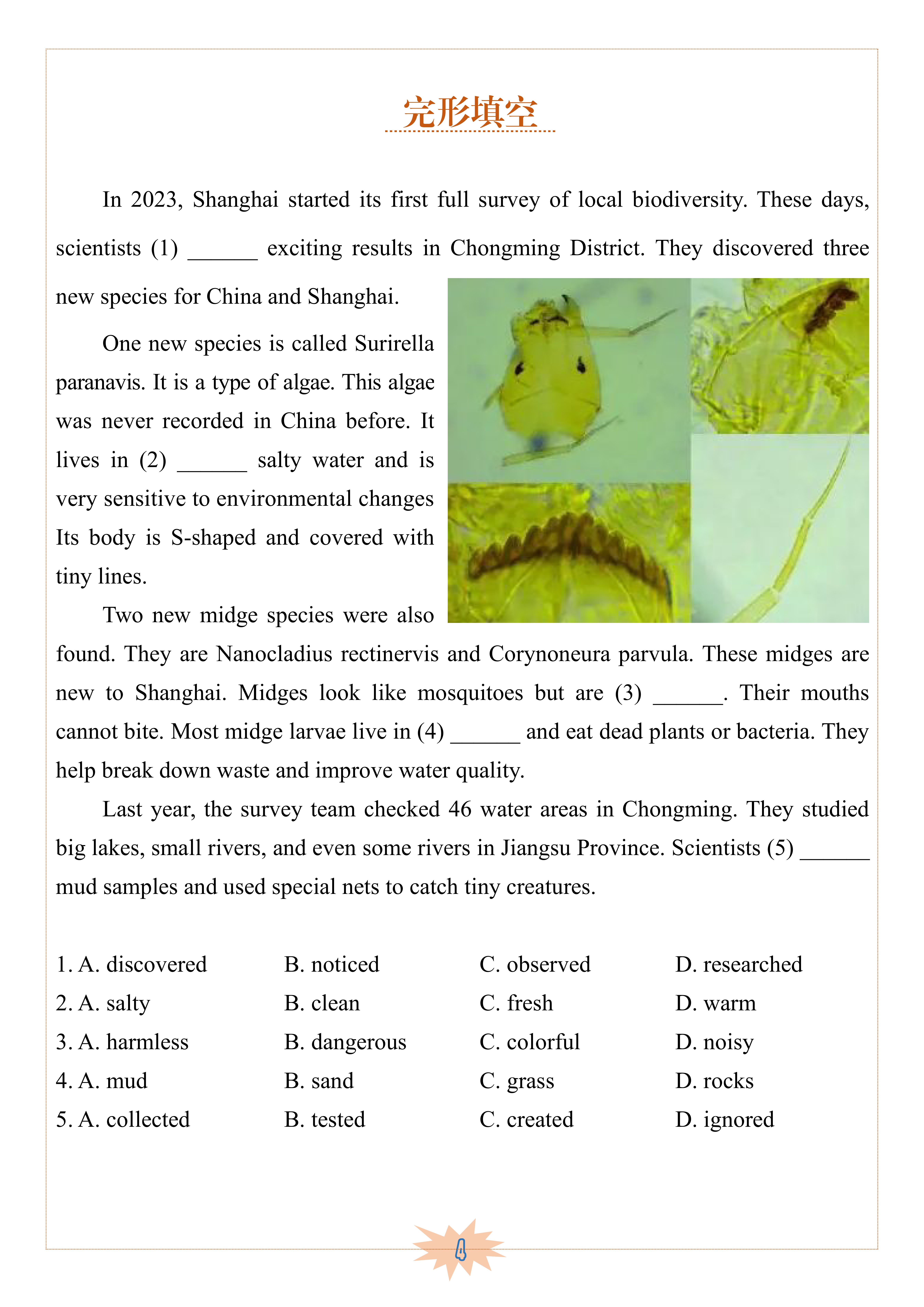 图片上传成功