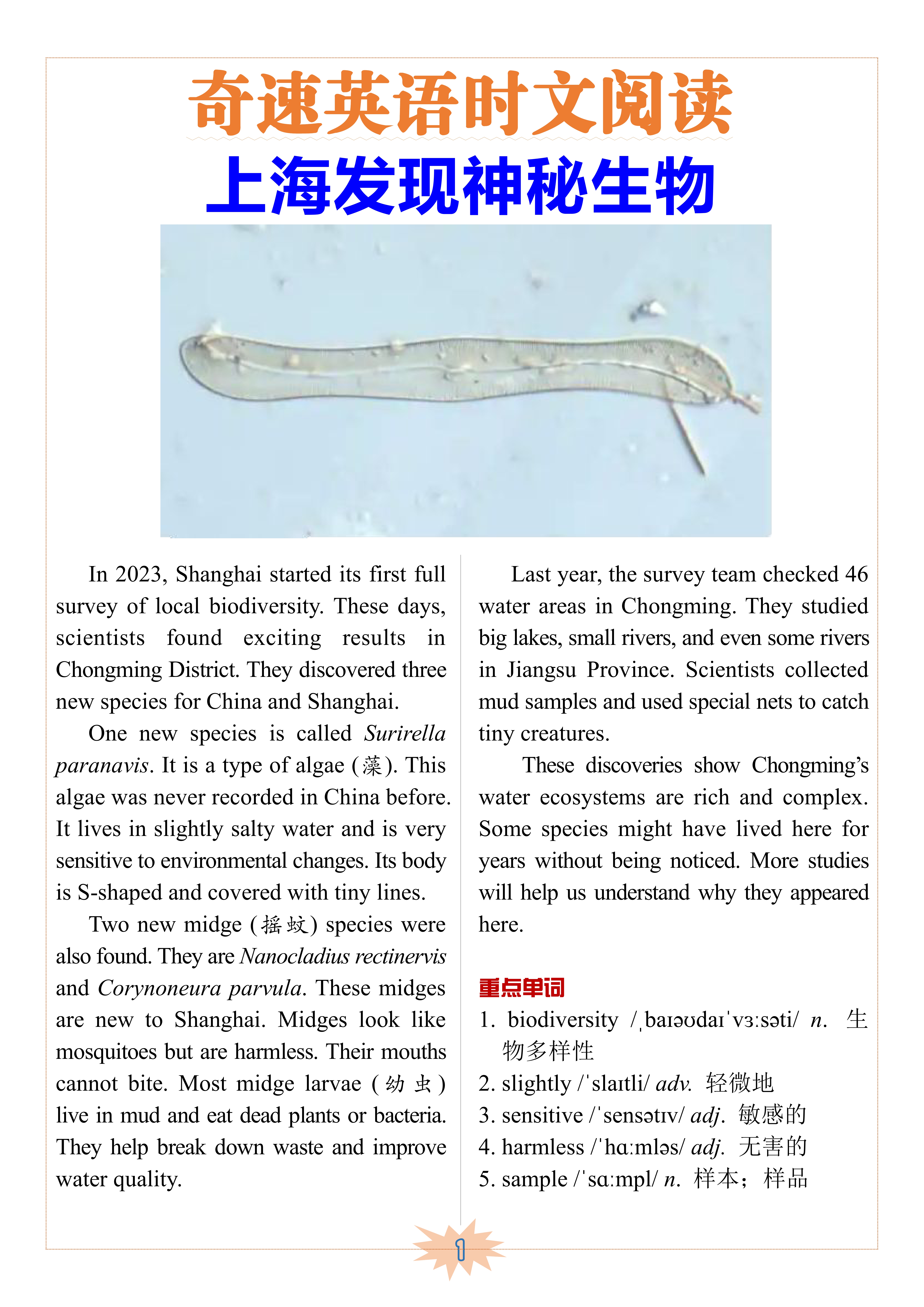 图片上传成功