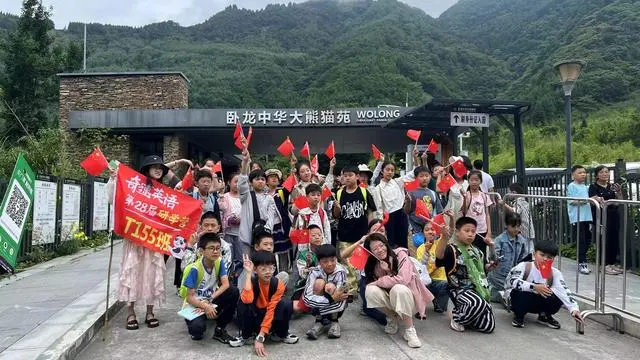 图片上传成功