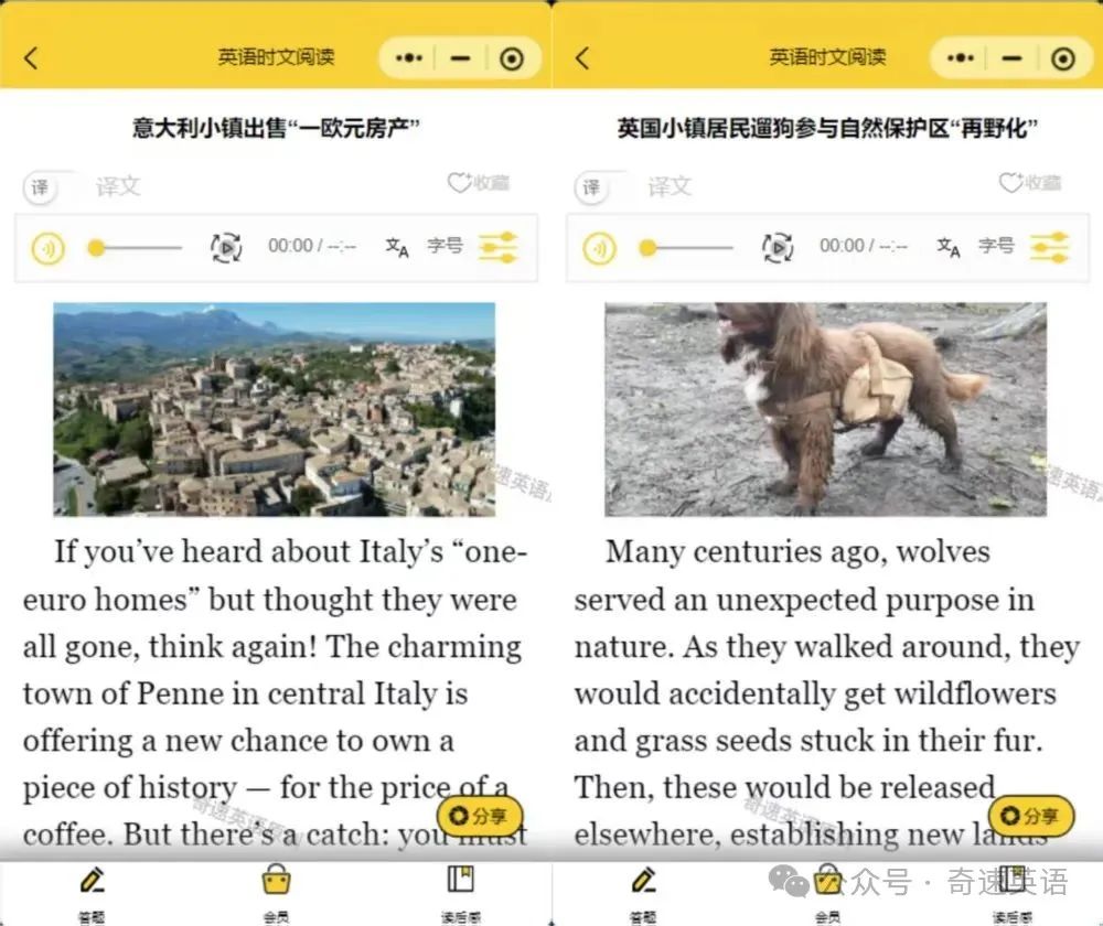 图片上传成功