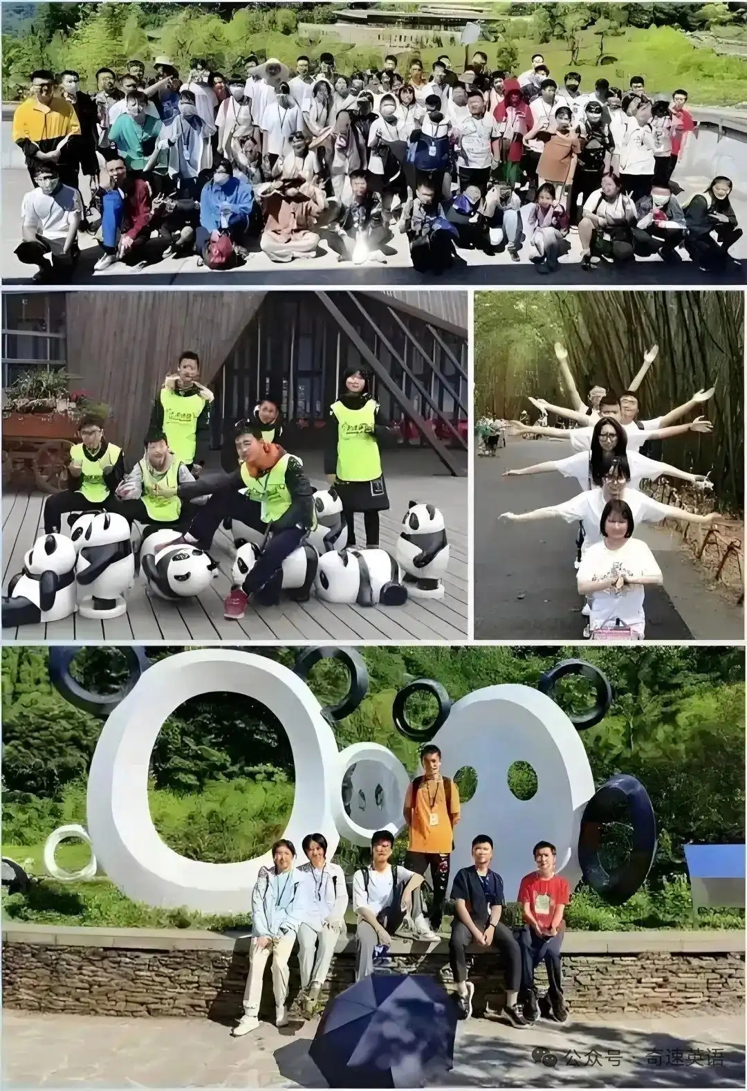 图片上传成功