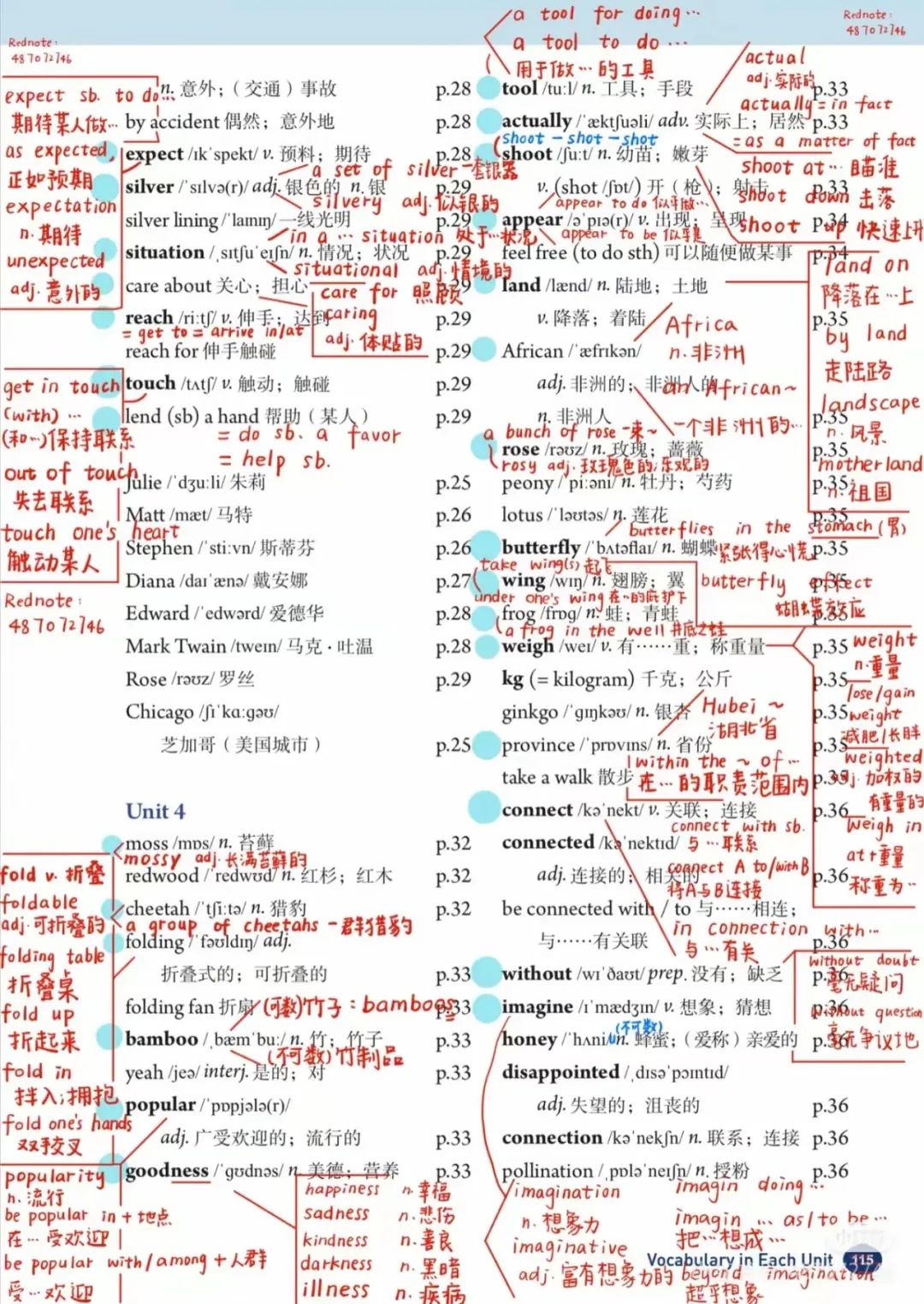 图片上传成功