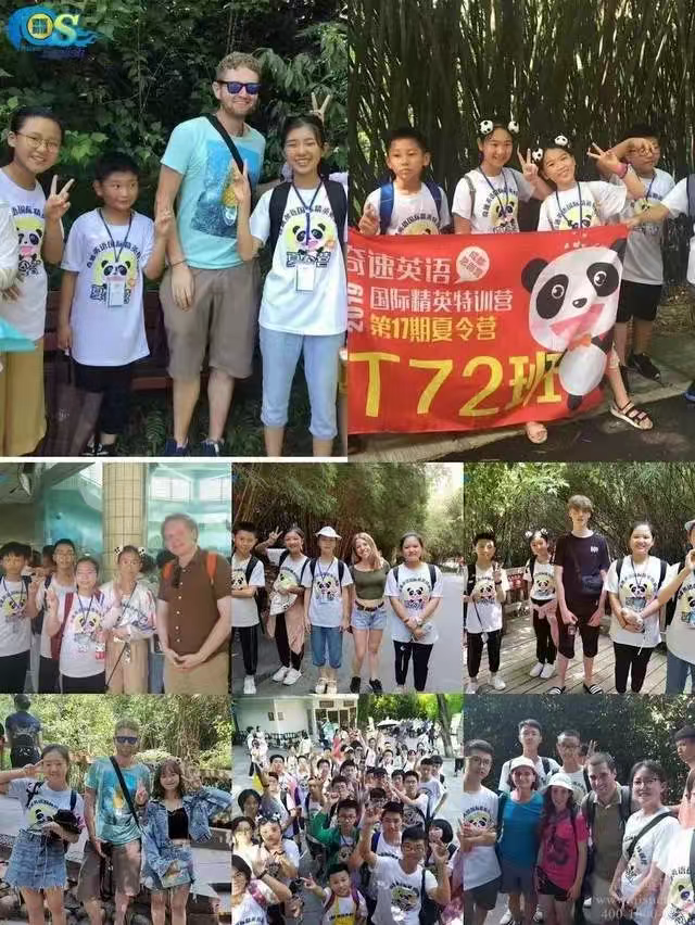 图片上传成功