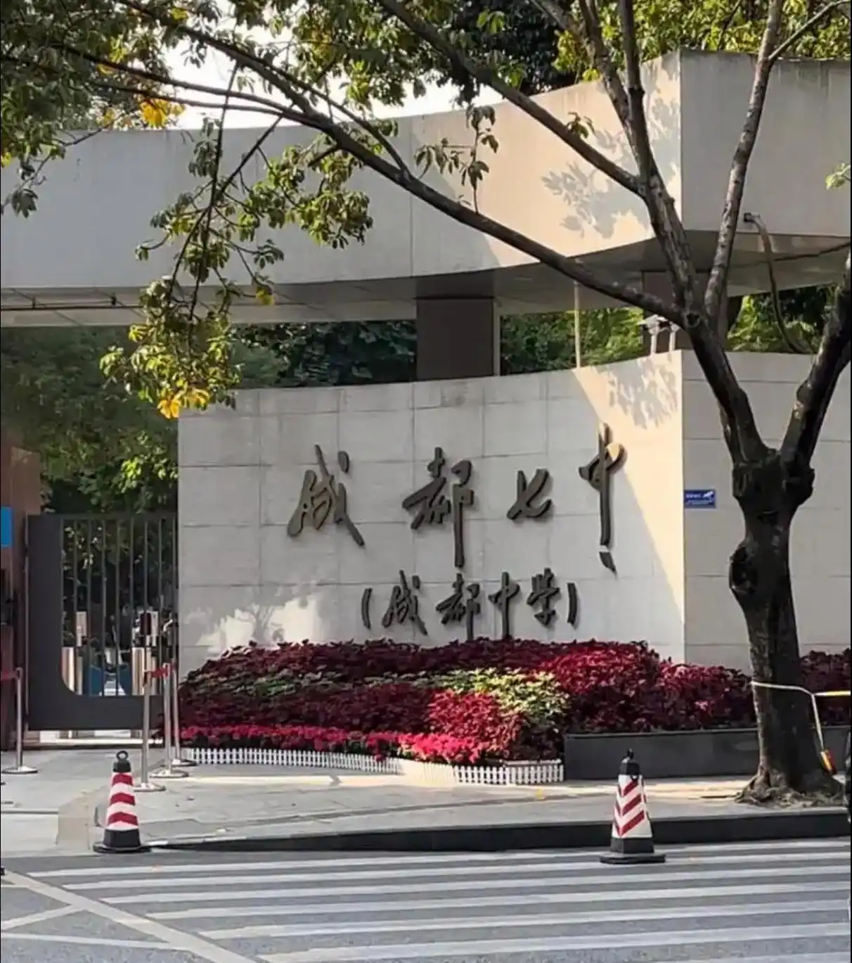 图片上传成功