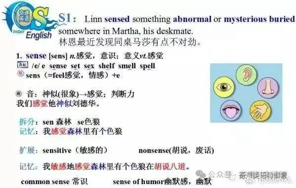 图片上传成功