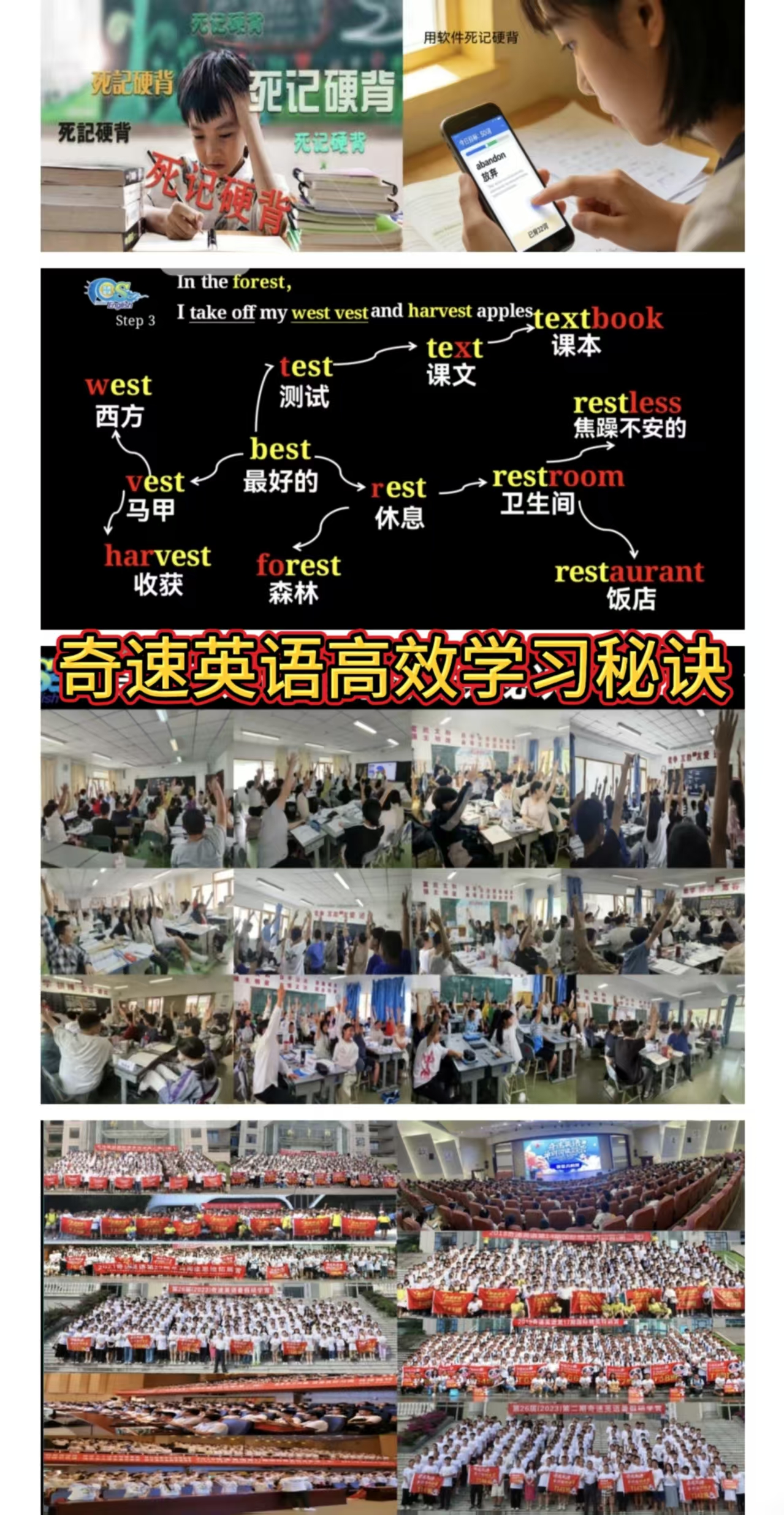 图片上传成功