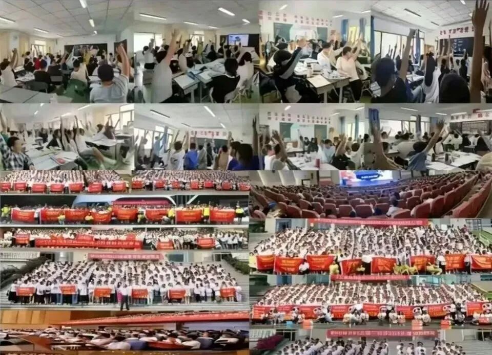 图片上传成功