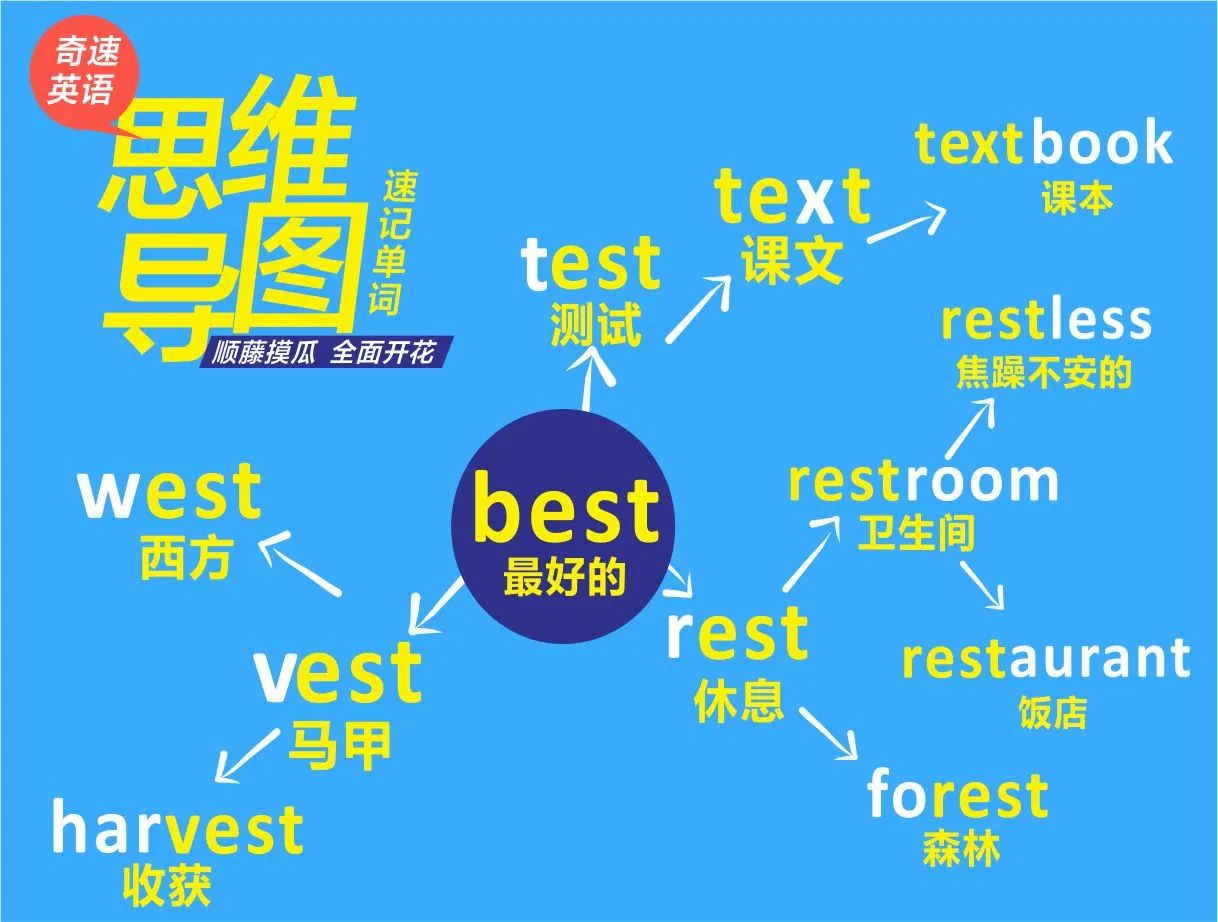 图片上传成功
